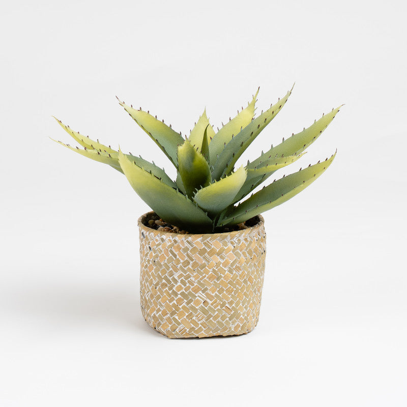 28cm Artificial Aloe Plant in Basket